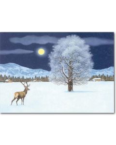 Zauberhafte Winternacht Adventskalender